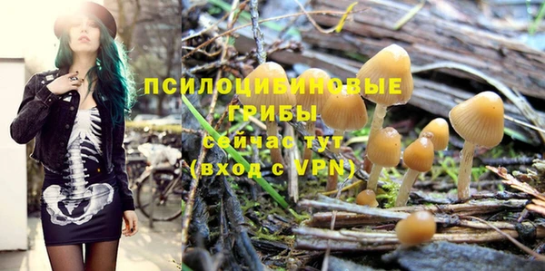 PSILOCYBIN Белоозёрский