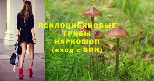 PSILOCYBIN Белоозёрский