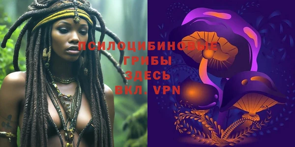 PSILOCYBIN Белоозёрский